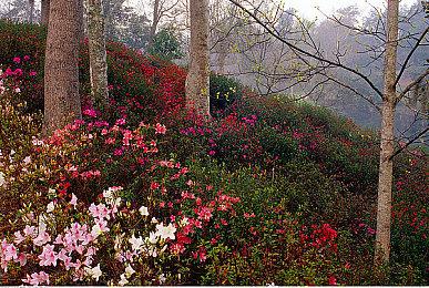 《方块方舟》NS平台史低特卖，萌新开荒必知必会